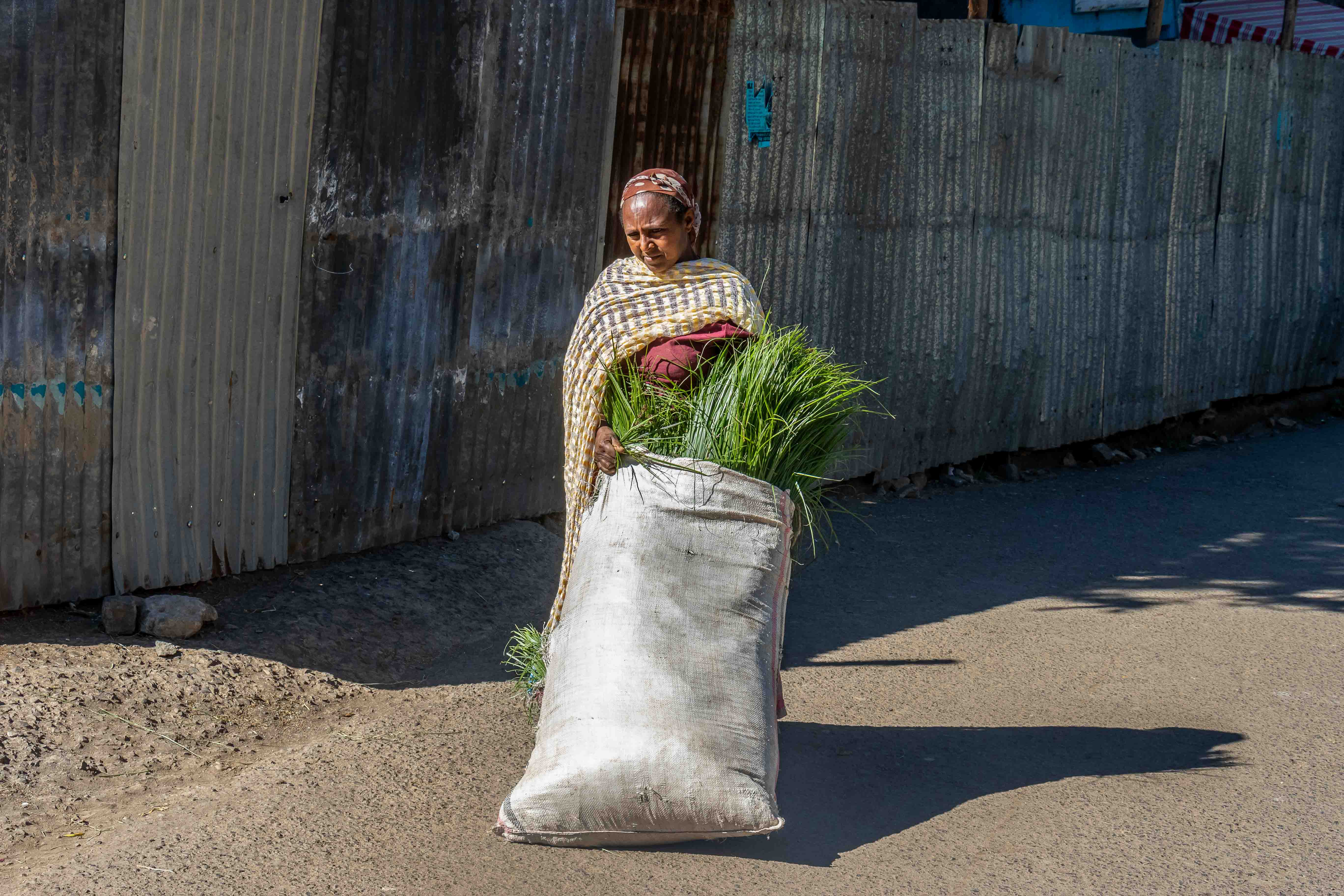 Una dona de camí al mercat (Marroc)