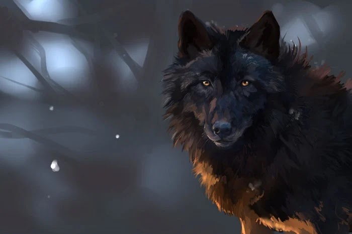 خلفيات الذئب الأسود الرائعة على WallpaperDog