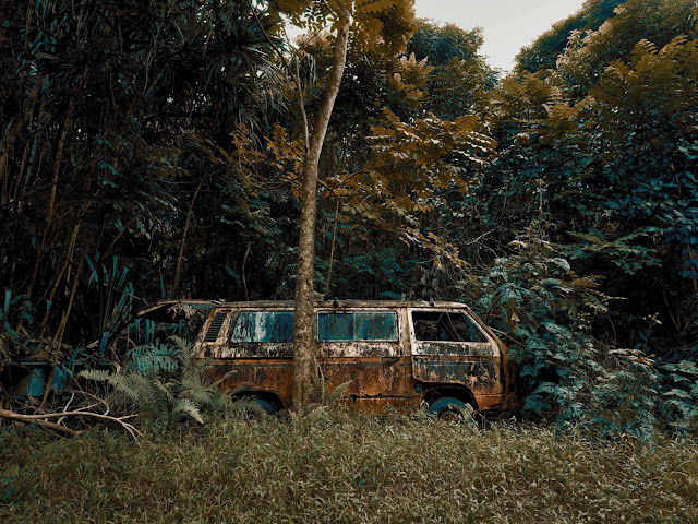 Photographer Thomas Strogalski Captured Wonderful Images Of Abandoned Cars Swallowed By Hawaii’s Jungles