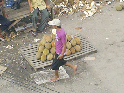 Palembang Dalam Sketsa  Durian 