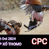 Xem Đá Gà Thomo CPC3 - 26/10/2024 – Trực Tiếp và Tổng Hợp