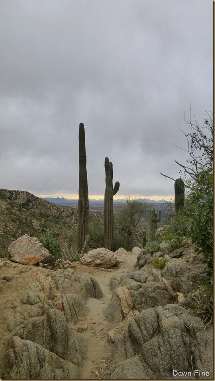 Romero pools hike_074