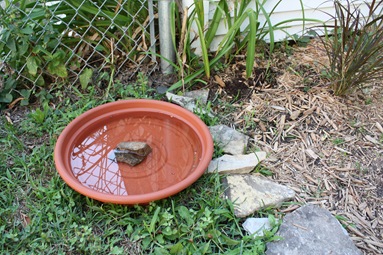 cheap bird bath