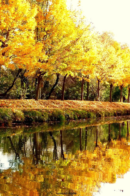 bord du canal du midi toulouse l automne