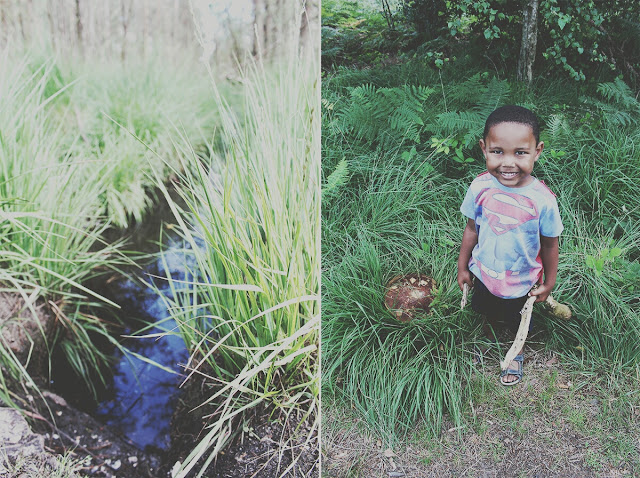 stream-forest-playing-in-the-grass-ringwood-forest-summer-todaymyway