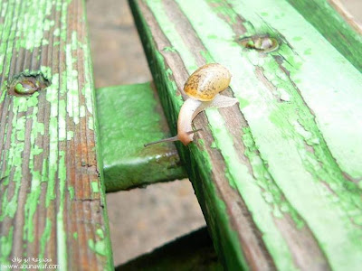 Crash course from snail_myfpf.blogspot.com