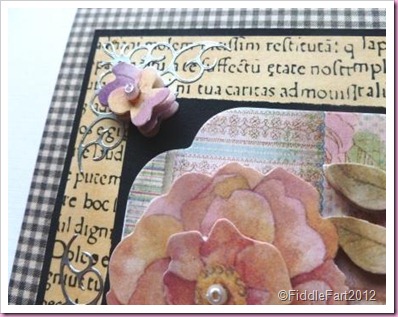 K & Co card