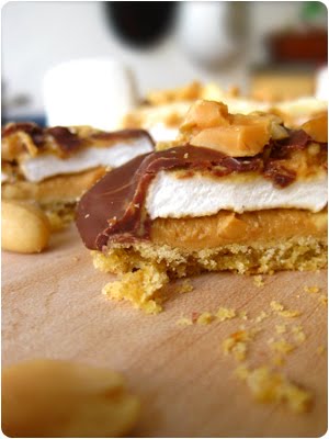 The Shnickster - Peanutbutter-Marshmallow-Chocolate-Bar