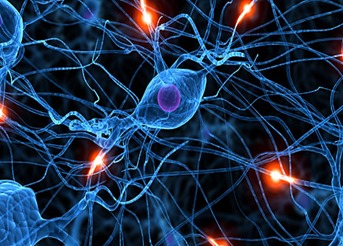 NEUROT~1