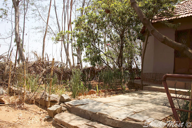 The fence we made with coconut leaves and bamboo sticks