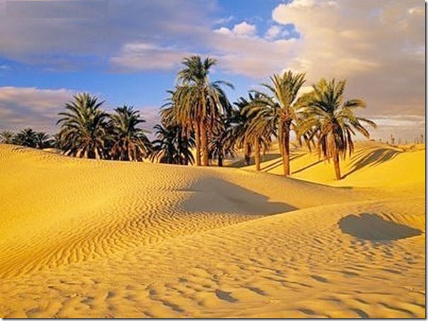 20 most incredible desert oasis12