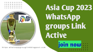 Asia Cup 2023 Active  Cricket WhatsApp Group Link Steaming