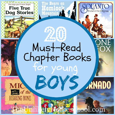 20 Must-Read Chapter Books for Young Boys {2nd-4th graders}