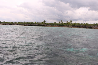 Moalboal Fish Sanctuary 