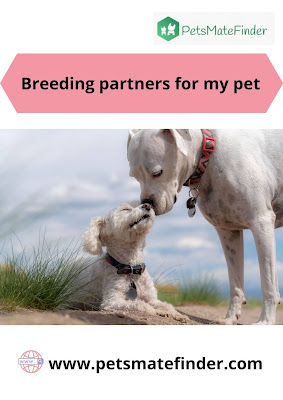 Dog Breeding Partners