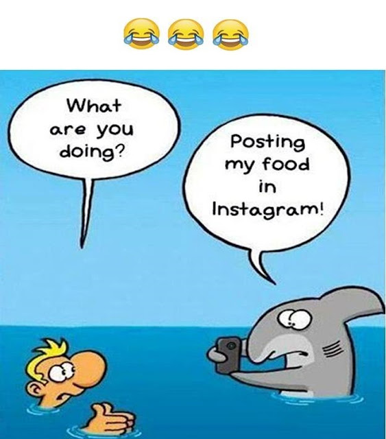 Post your food on Instagram - Funny images