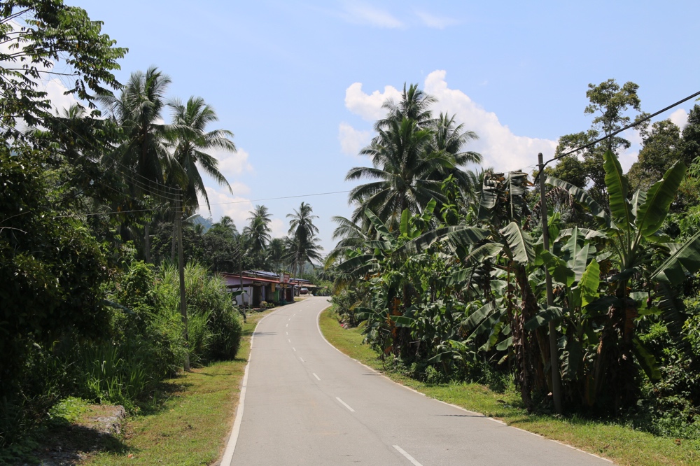 Kampung road