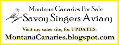 http://montanacanaries.blogspot.com/