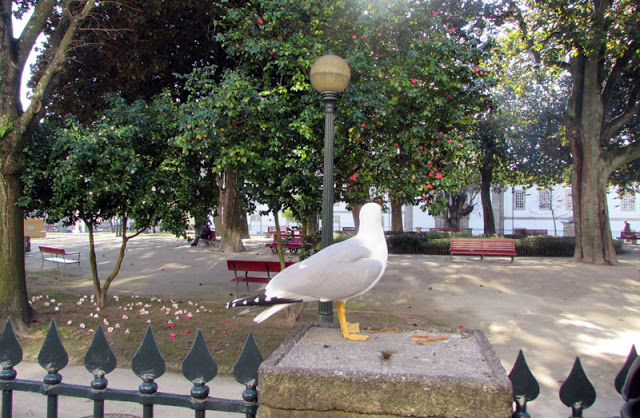 Jardim de São Lázaro Porto