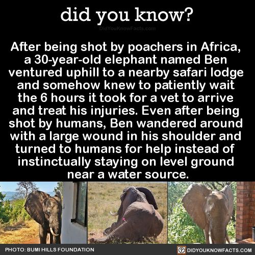 Interesting WTF Fun Facts That You Probably Didn't Know