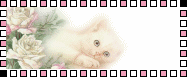 Blinkie