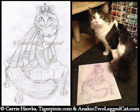 Anakin The Two Legged Cat Sketch by Carrie Hawks Tigerpixie.com