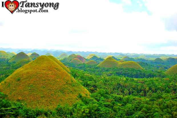Chocolate Hills In Carmen Bohol Melts After The 7 2 Magnitude Earthquakes I Tansyong