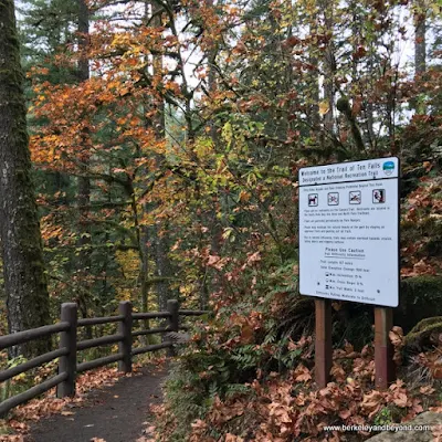 The Trail of Ten Falls/Canyon Trail in Silver Falls State Park in Sublimity, Oregon