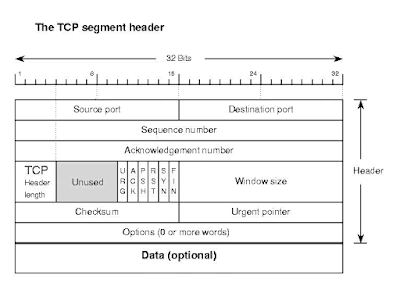 TCP Header