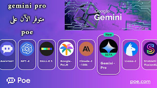 Google Gemini in poe