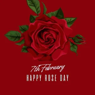 Image of Rose Day Quotes for Husband