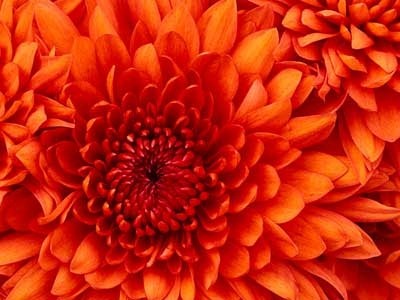 Foto 2D a 3D con Cinema4D