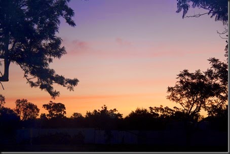 IMG_0053web