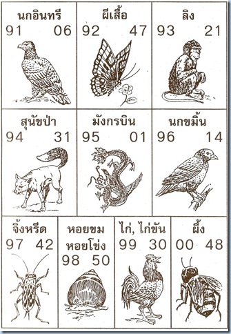 สัตว์ 91-00