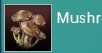Mushrooms