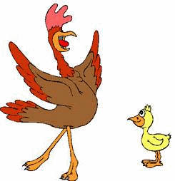 Kumpulan Animasi  Kartun Ayam  Bergerak Lucu  ANIMASI  DAN 