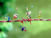 #4 Pikmin Wallpaper