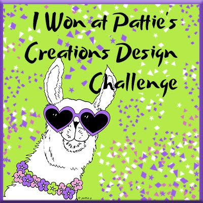 Challenge image winner