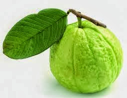 daun jambu.jpg