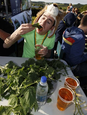 Leaf Eaters Compete for Nettle Eating Champion Seen On www.coolpicturegallery.net