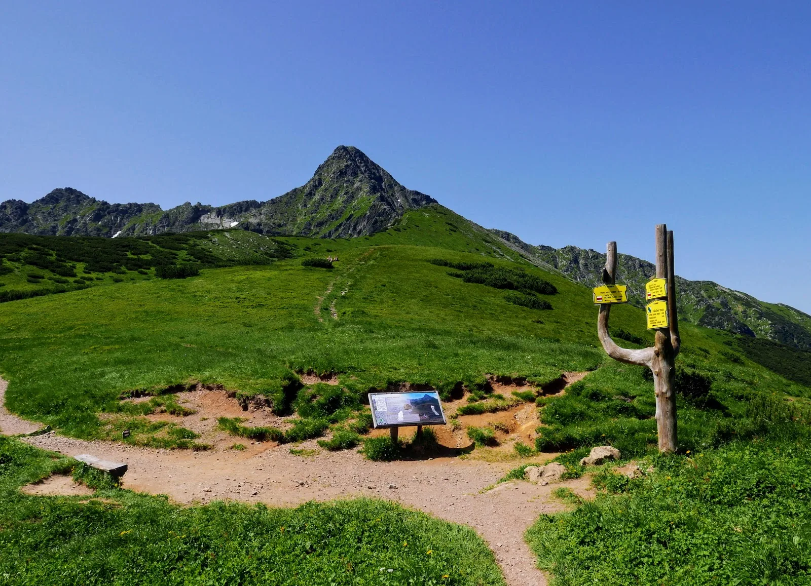 Wędrówka przez Tatry Bielskie i Wysokie. Przełęcz pod Kopą-Jagnięcy Szczyt-Świstówka. Lato w Tatrach. Tatry dla początkujących. Tatry dla średniozaawansowanych. Łatwe szlaki w Tatrach. Szlaki widokowe w Tatrach. Tatry Bielskie zdjęcia. Tatry Wysokie zdjęcia. Opis szlaków w tatrach. Tatry blog. Jagnięcy szczyt blog. Tatry bielskie blog. Przełęcz pod kopą. Szeroka przełęcz tatry bielskie.