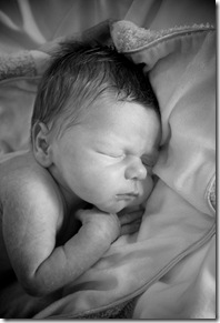 IMG_7631 - Version 2