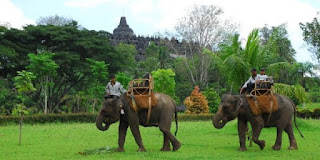 akcayatour, Travel Malang Magelang, Candi Borobudur, Travel Magelang Malang