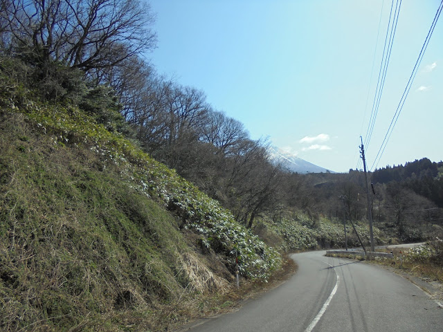 小林橋に向かって降ります、美しい大山の稜線