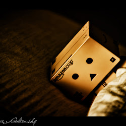 Wallpaper Danbo @ digaleri.com