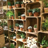 Decoración con plantas en cajones de madera reciclados