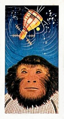 1963 Lyons Maid Space Exploration #30 - Ham The Monkey