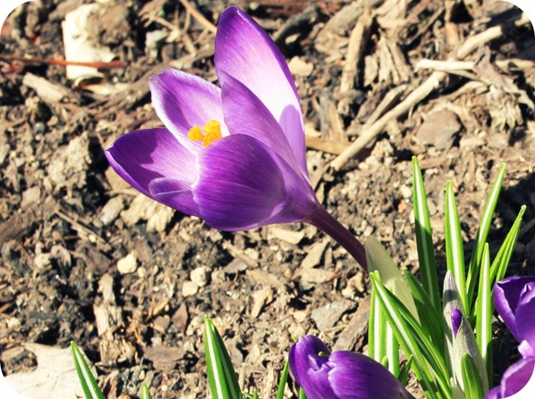 march 2010 028