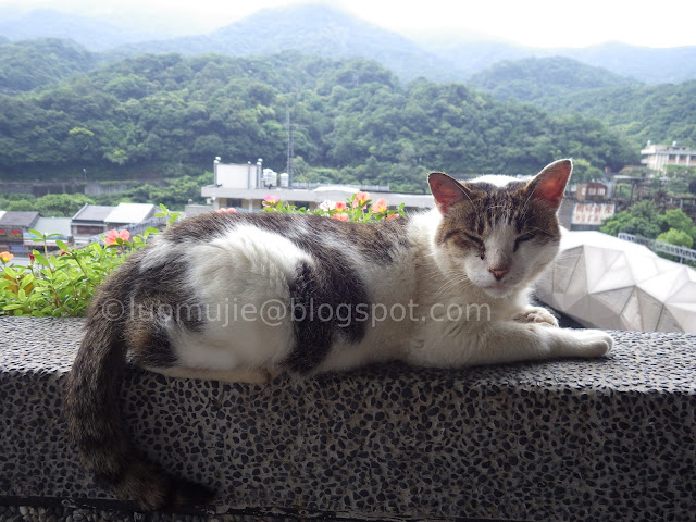 Houtong Cat Village