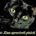 17 august: Ziua aprecierii pisicii negre